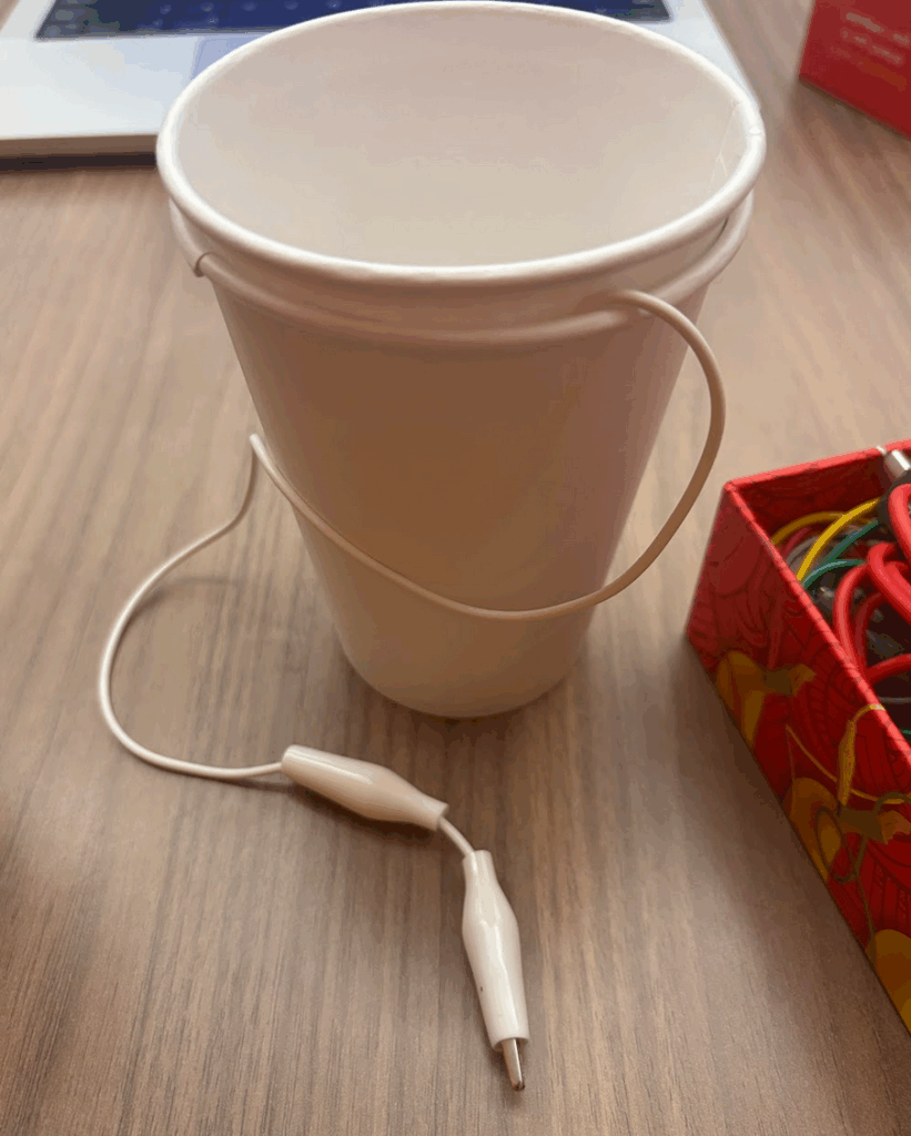 cup portion of hack 5, without lid