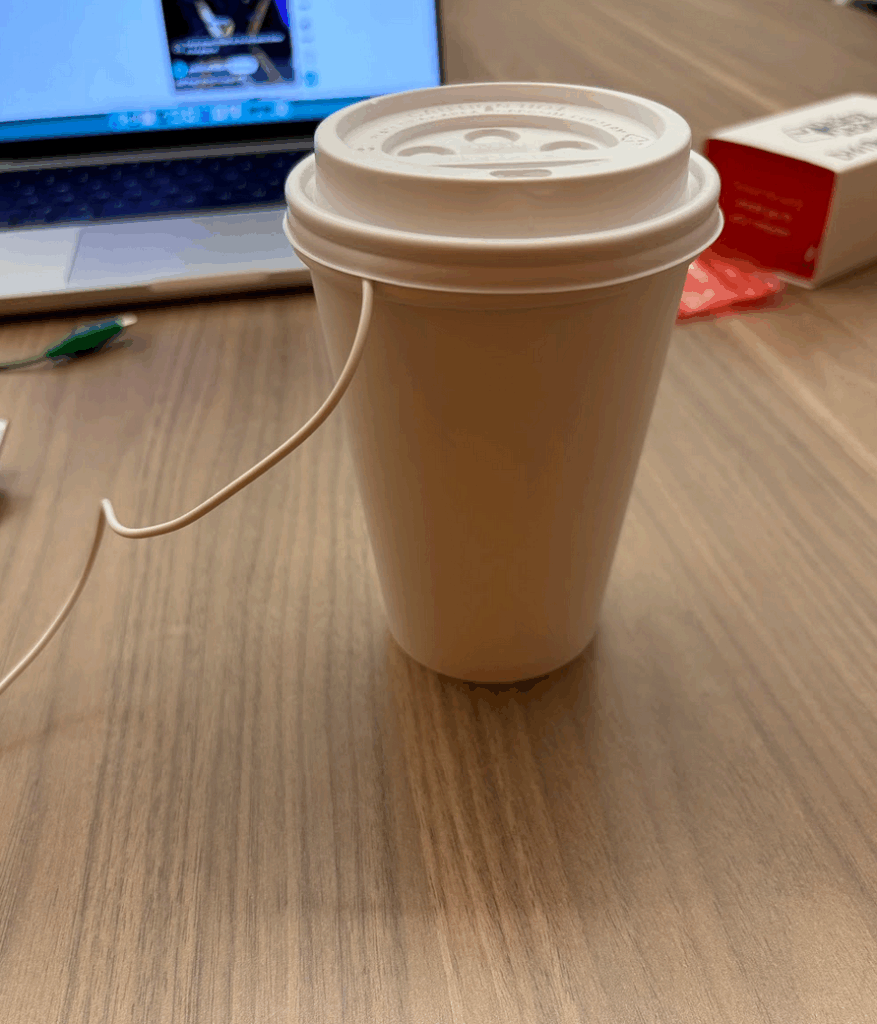 cup portion of hack 5, with lid